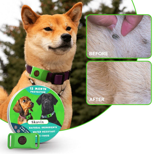 Skavix™ 12 Months Flea and Tick Free